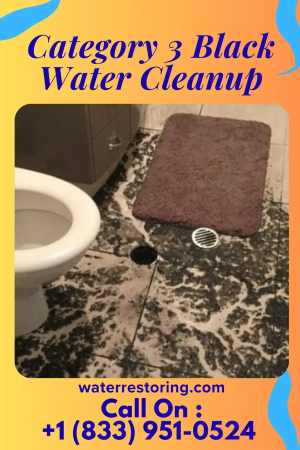 Category 3 Black Water Cleanup in Gold Hill, OR